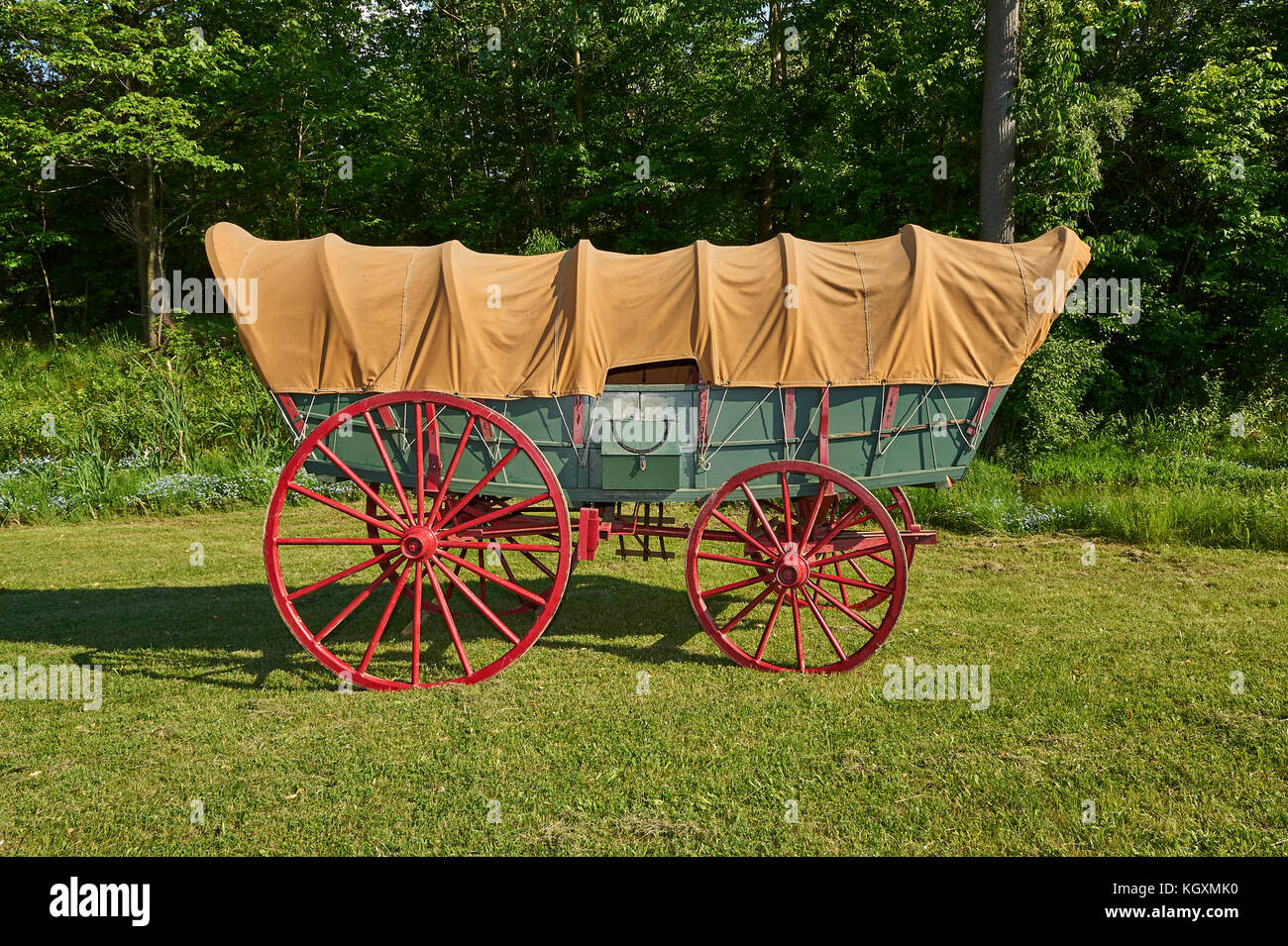 Conestoga wagon (covered wagon). Primary mode of transportation during