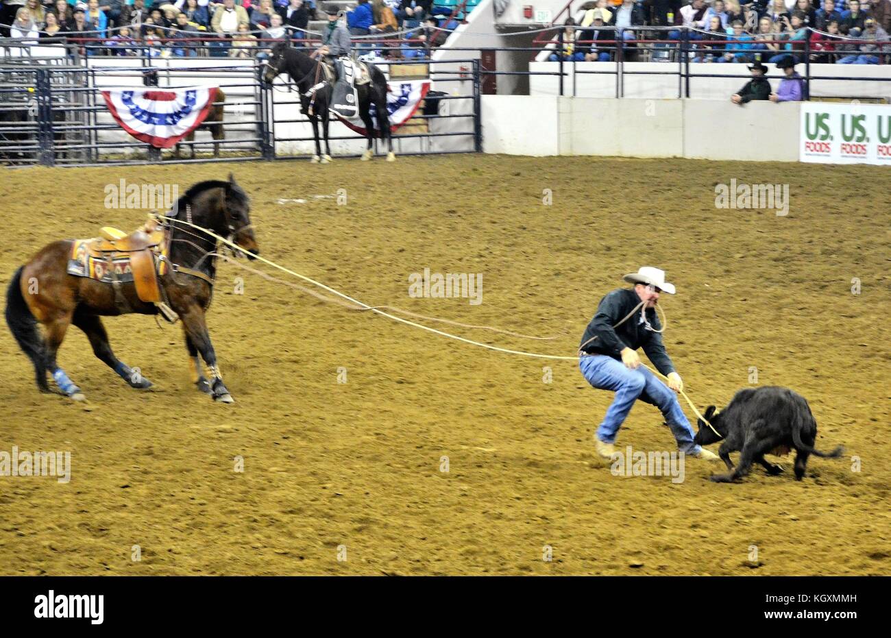 Rodeo in Denver, Colorado Stock Photo Alamy