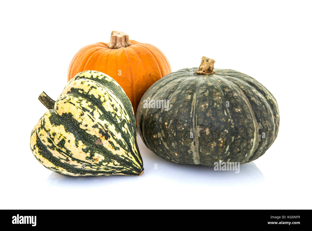 Pumpkins and Gourds on a white background Stock Photo