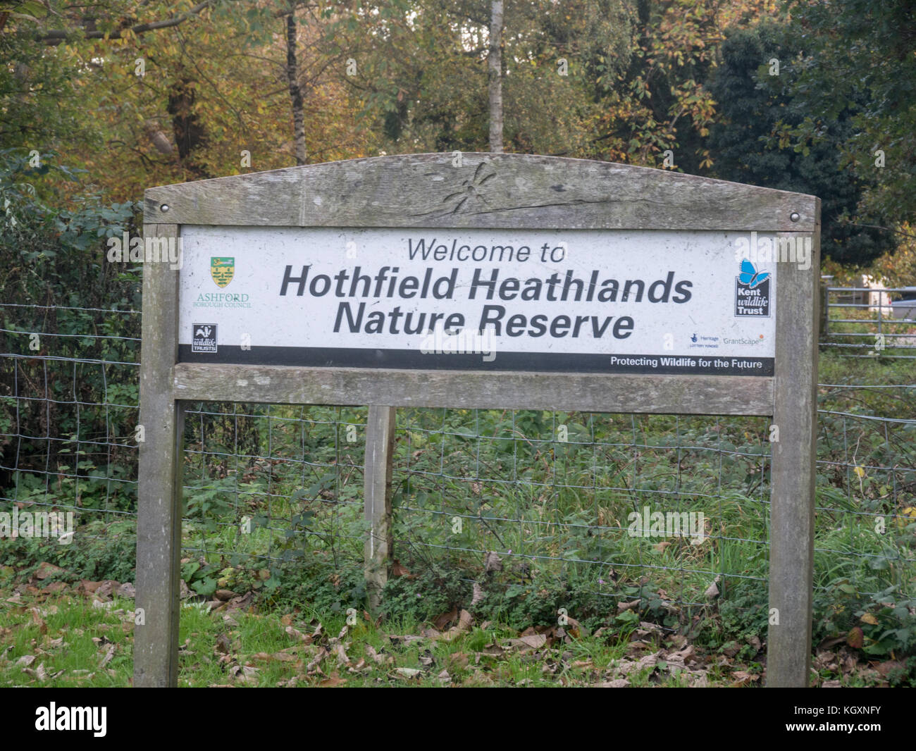 Hothfield heathlands hires stock photography and images Alamy