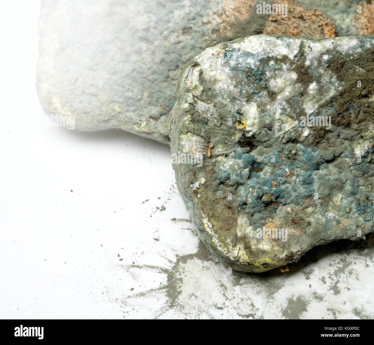Mold on bread on white background close up Stock Photo