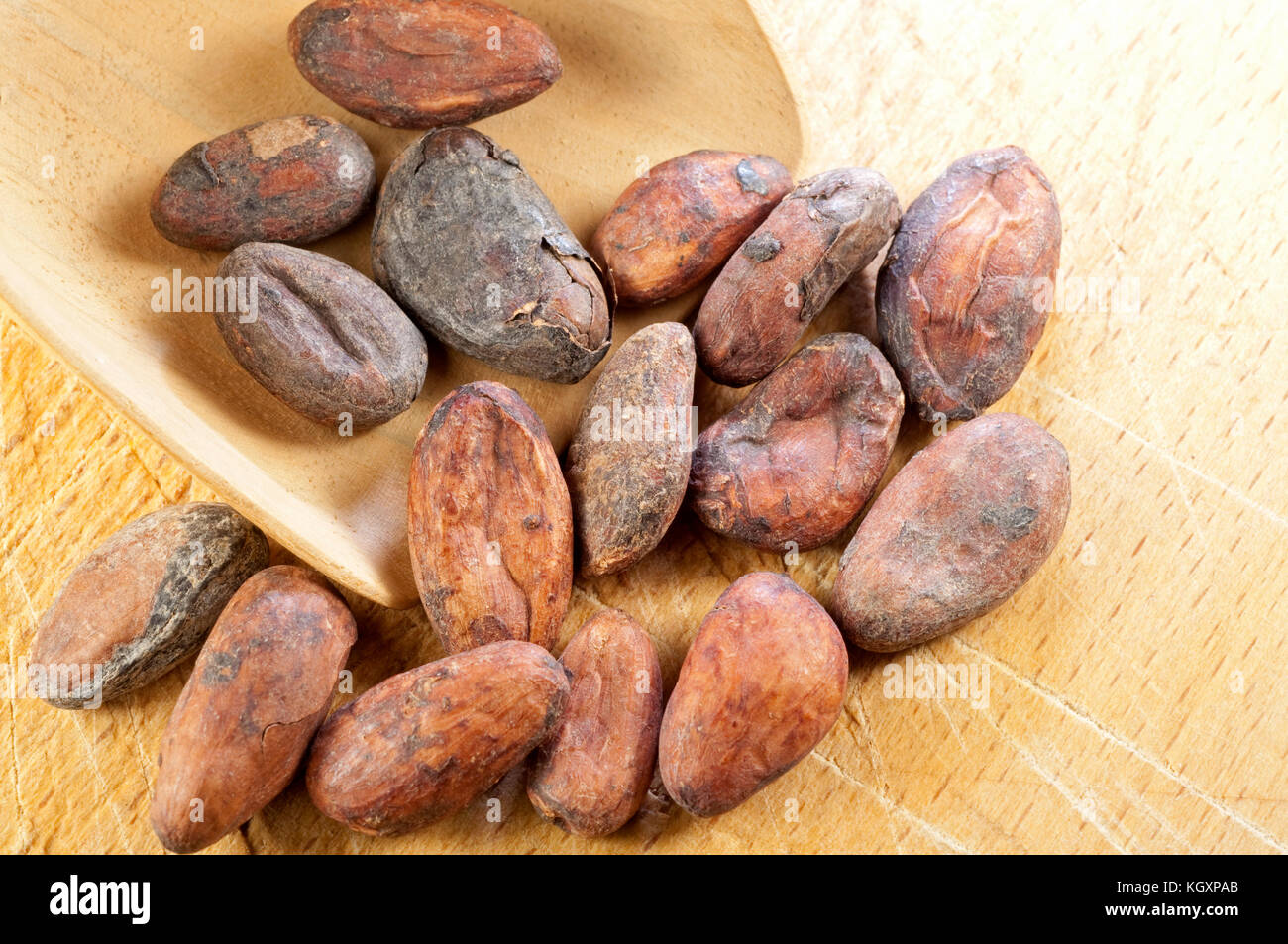 Cocoa Beans, Chocolate Ingredient Stock Photo Alamy
