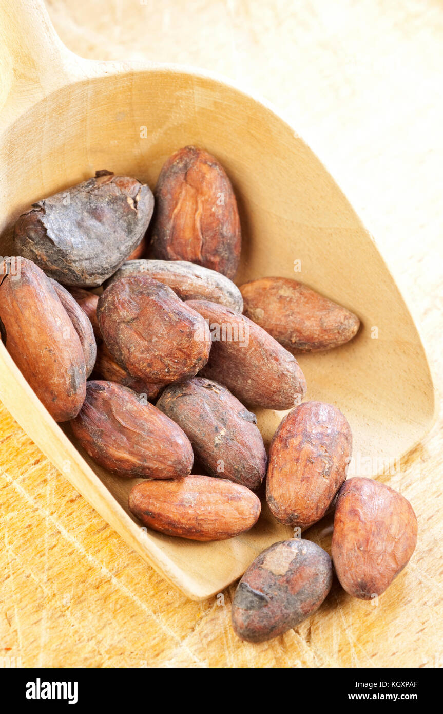 Cocoa Beans, Chocolate Ingredient Stock Photo Alamy