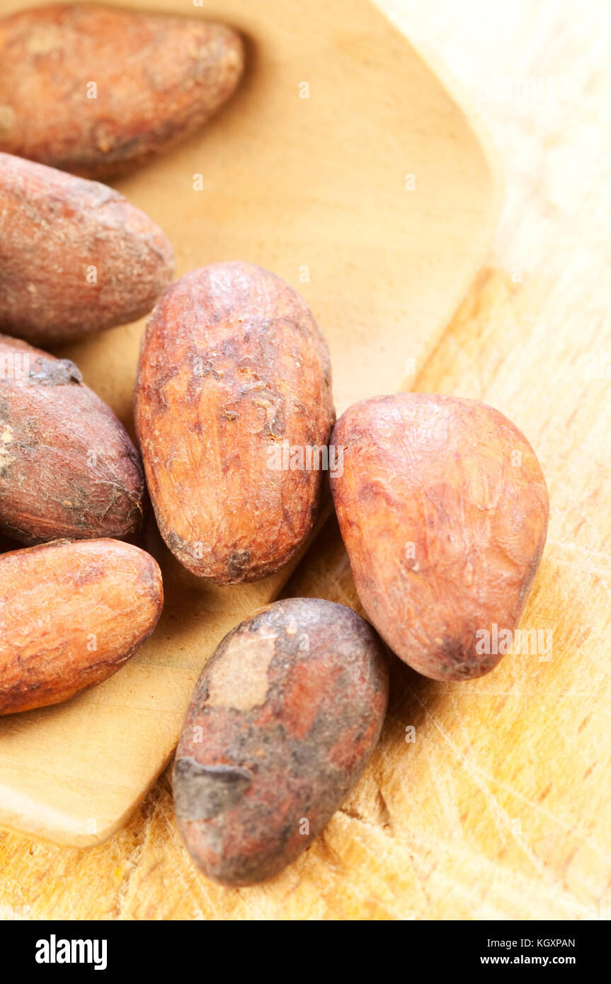 Cocoa Beans, Chocolate Ingredient Stock Photo Alamy