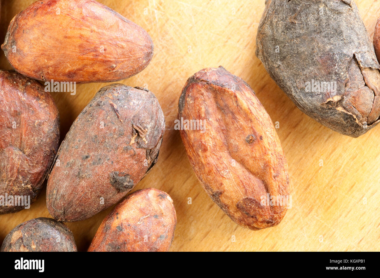 Cocoa Beans, Chocolate Ingredient Stock Photo Alamy