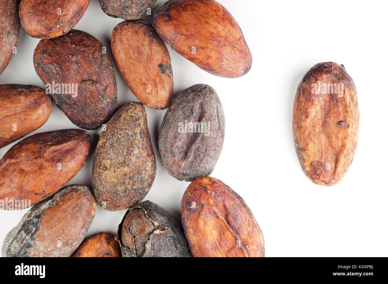 Cocoa Beans, Chocolate Ingredient Stock Photo Alamy
