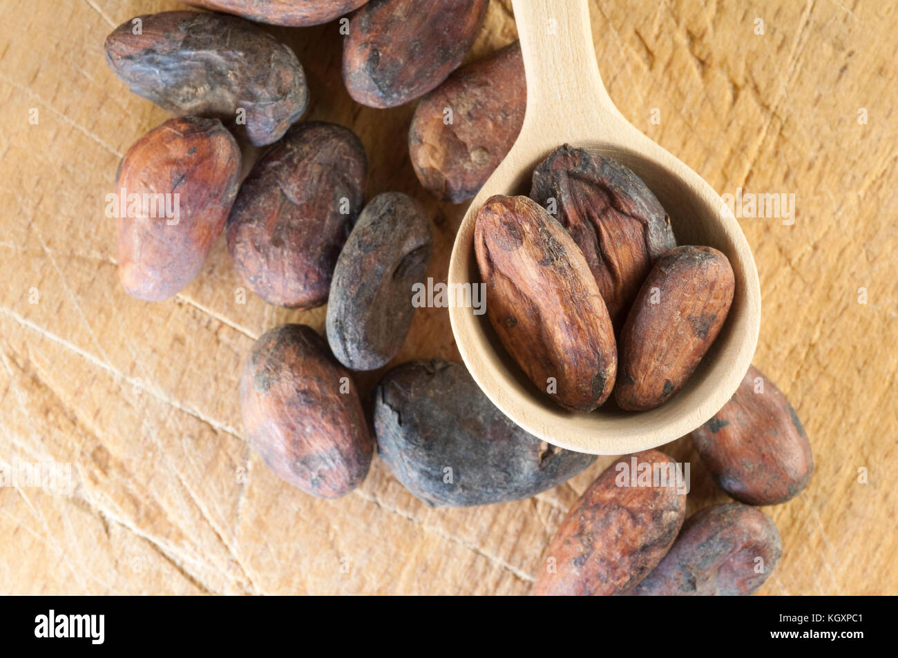 Cocoa Beans, Chocolate Ingredient Stock Photo Alamy