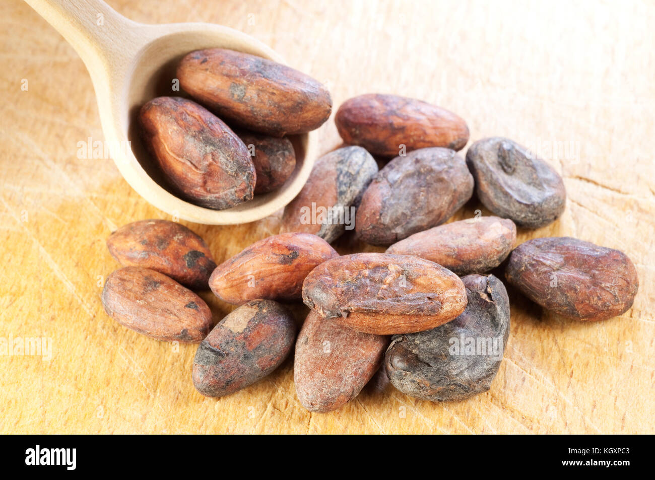 Cocoa Beans, Chocolate Ingredient Stock Photo Alamy