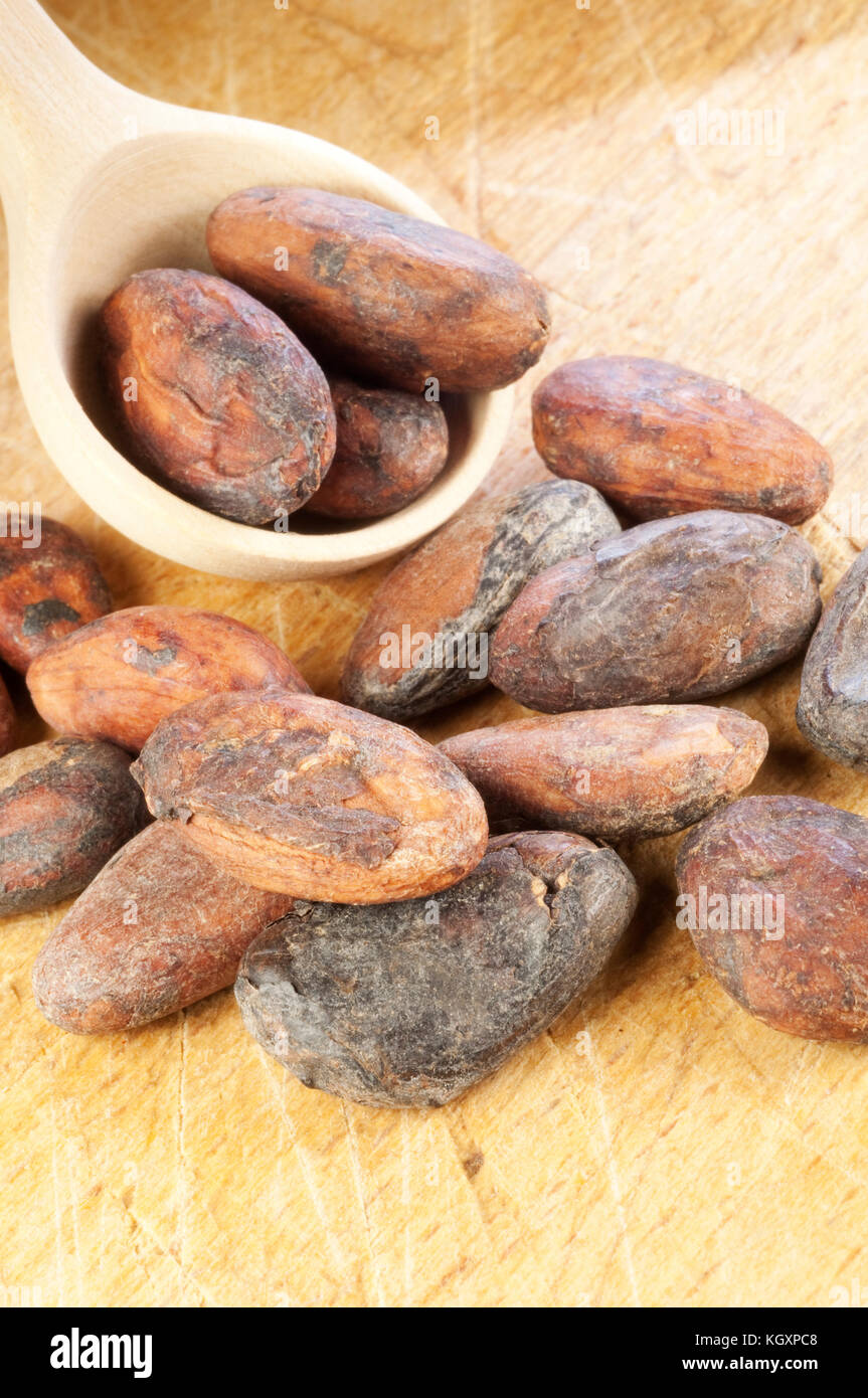 Cocoa Beans, Chocolate Ingredient Stock Photo Alamy