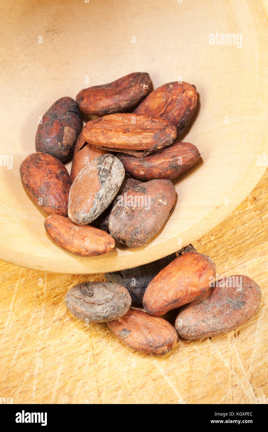 Cocoa Beans, Chocolate Ingredient Stock Photo Alamy