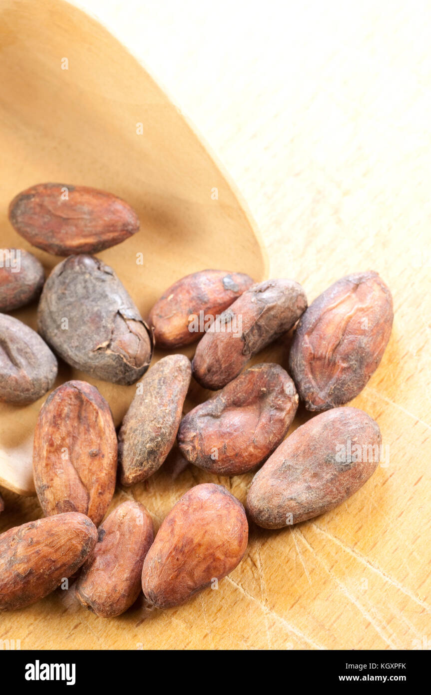 Cocoa Beans, Chocolate Ingredient Stock Photo Alamy
