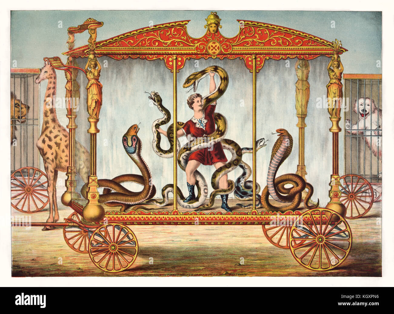 Old illustration depicting circus attraction: the snake wagon. By unidentified author, publ. ca. 1874 Stock Photo