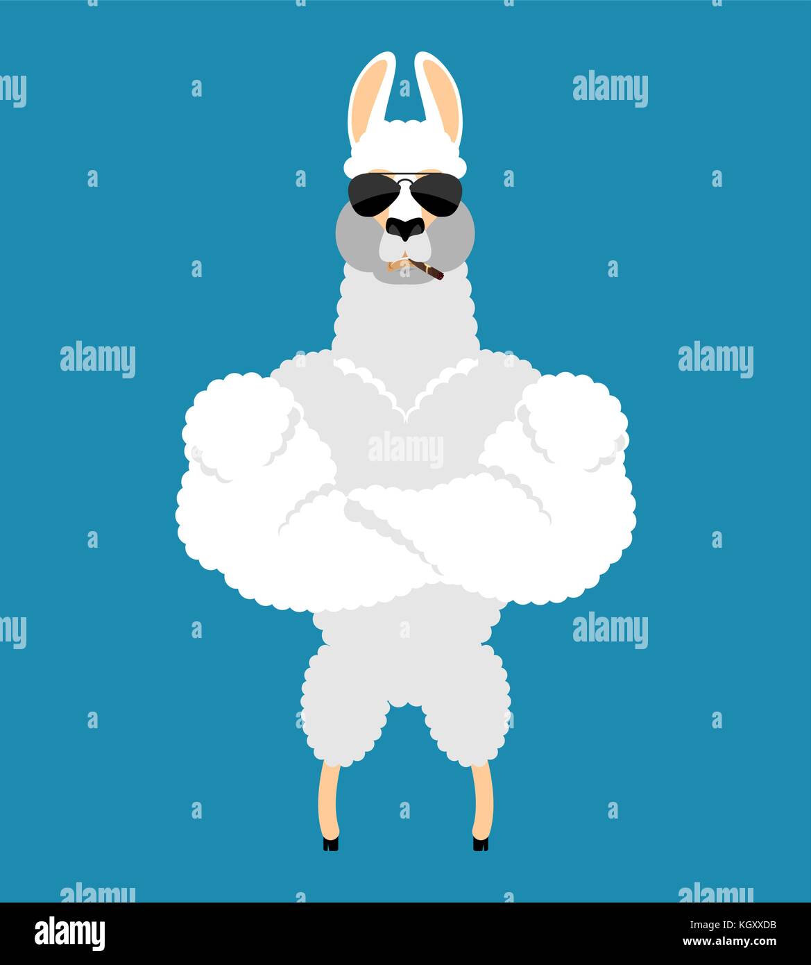 Lama Alpaca  Strong Cool serious. Animal smoking cigar emoji. Beast strict. Vector illustration Stock Vector