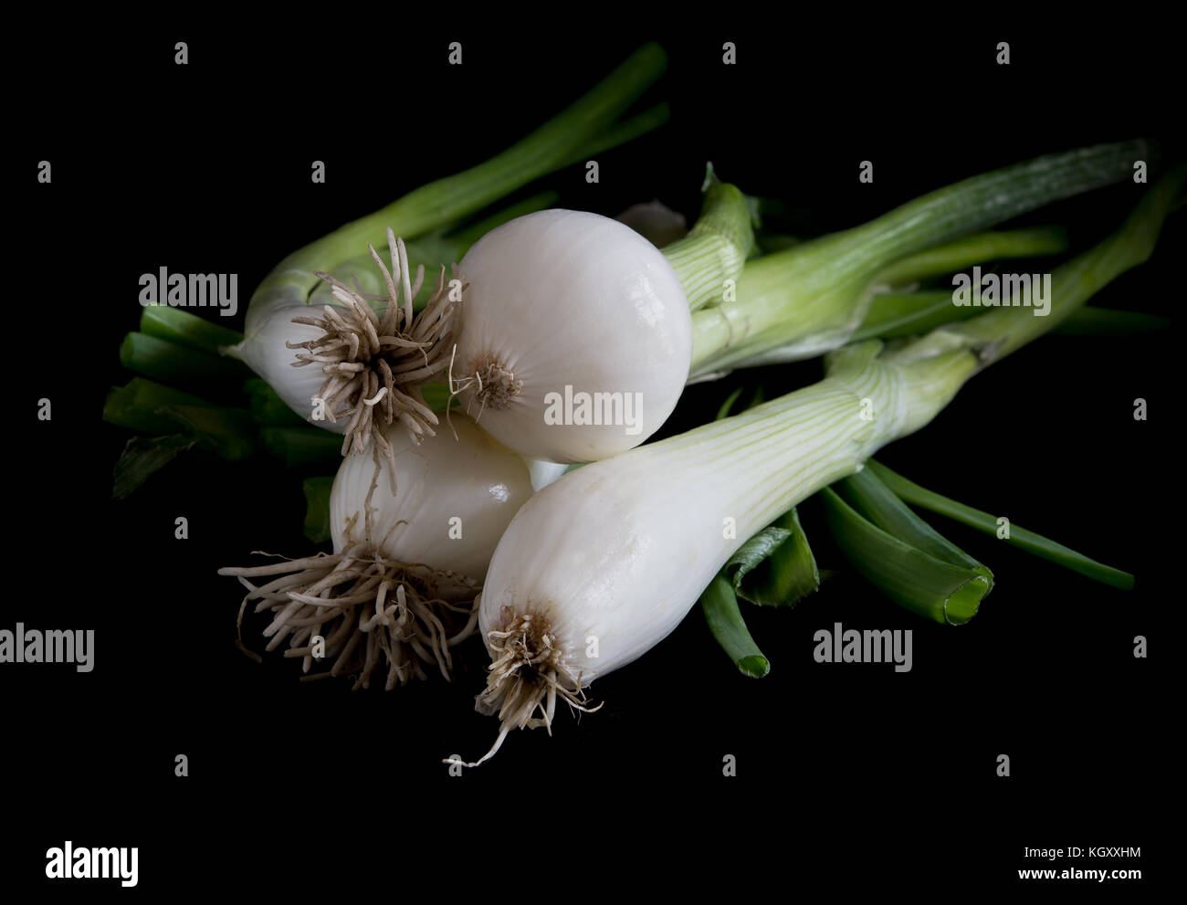 Raw spring onion hi-res stock photography and images - Alamy
