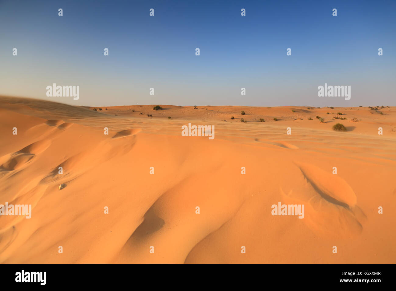 Desert in Dubai in the evening. Yellow sand on blue sky background. Stock Photo