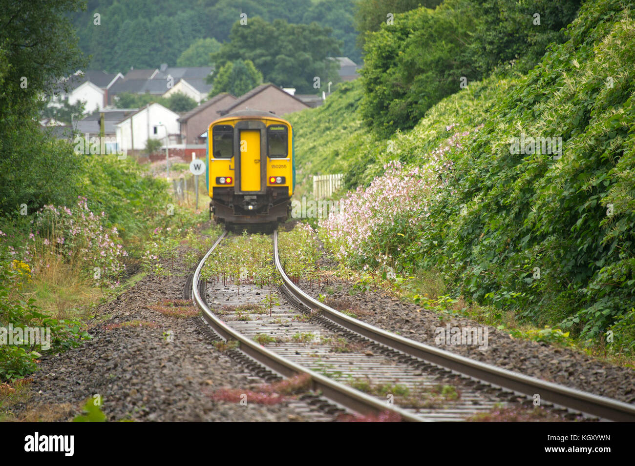 Rob Waistell who's bungalow (cream coloured building) in Maesteg, Wales
