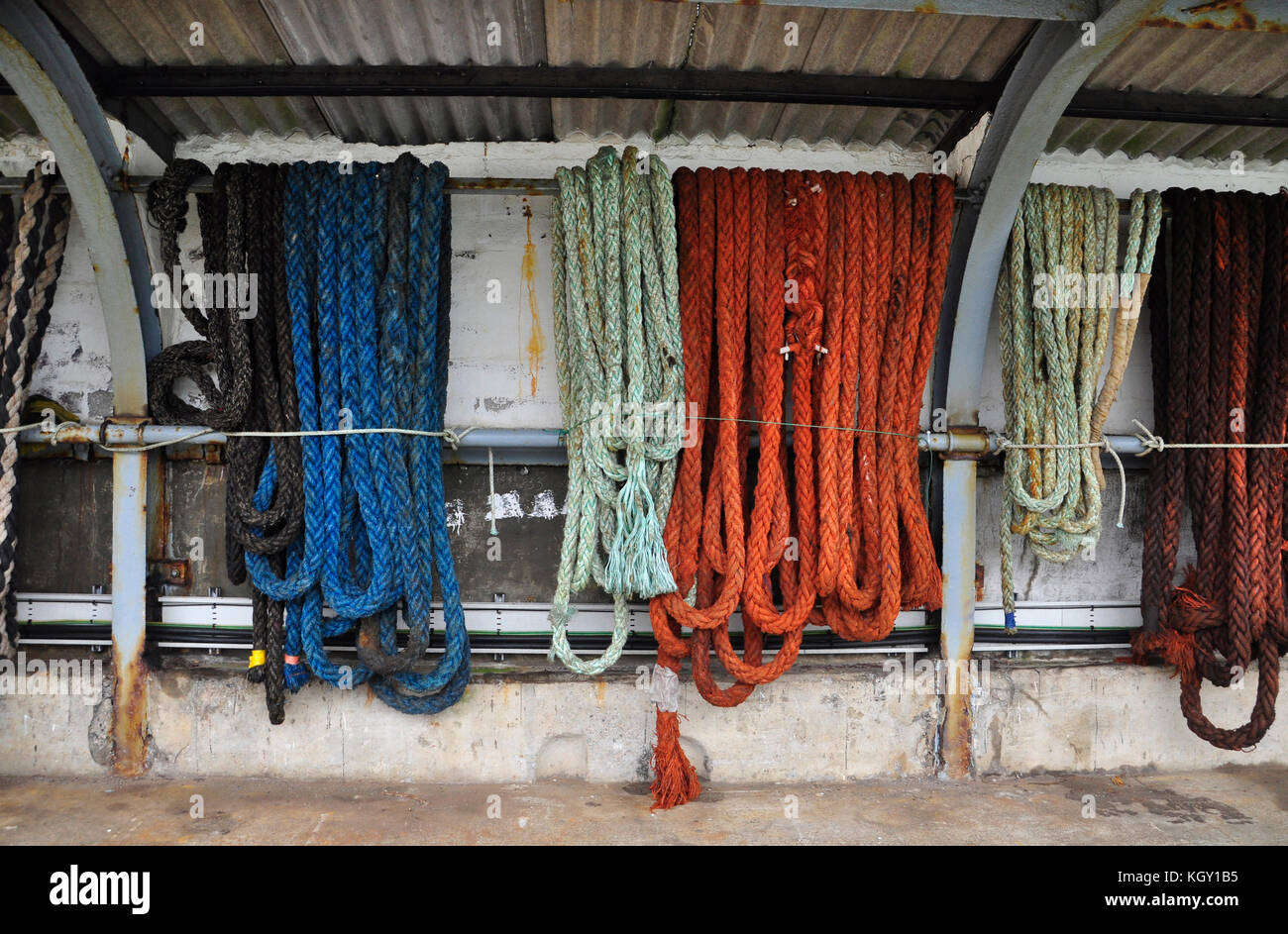 Bright coloured mooring ropes.Neatly hung and tied up in a shed on the quay in Newlyn Harbour Cornwall, UK Stock Photo