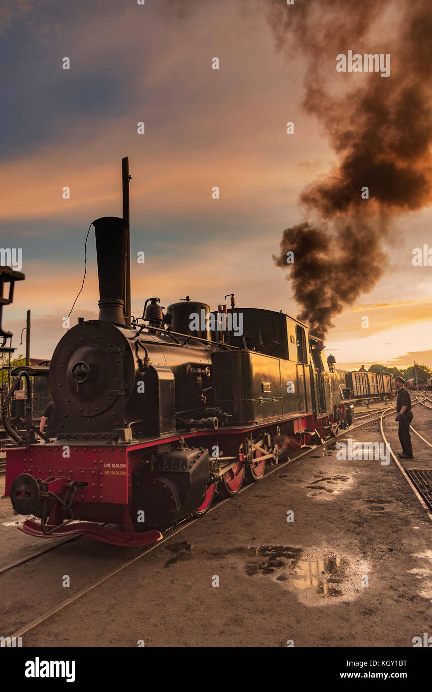 Dampflokomotive Hoya zum 50-jährigen Jubiläum der Museumseisenbahn Bruchhausen-Vilsen 2016 bei Sonnenunterhang mit Lokomotivführer Stock Photo