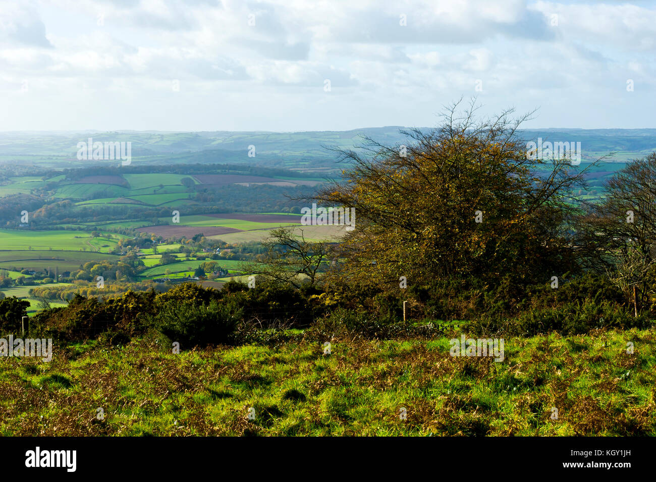 The Quantock Hills, Somerset, England Stock Photo Alamy