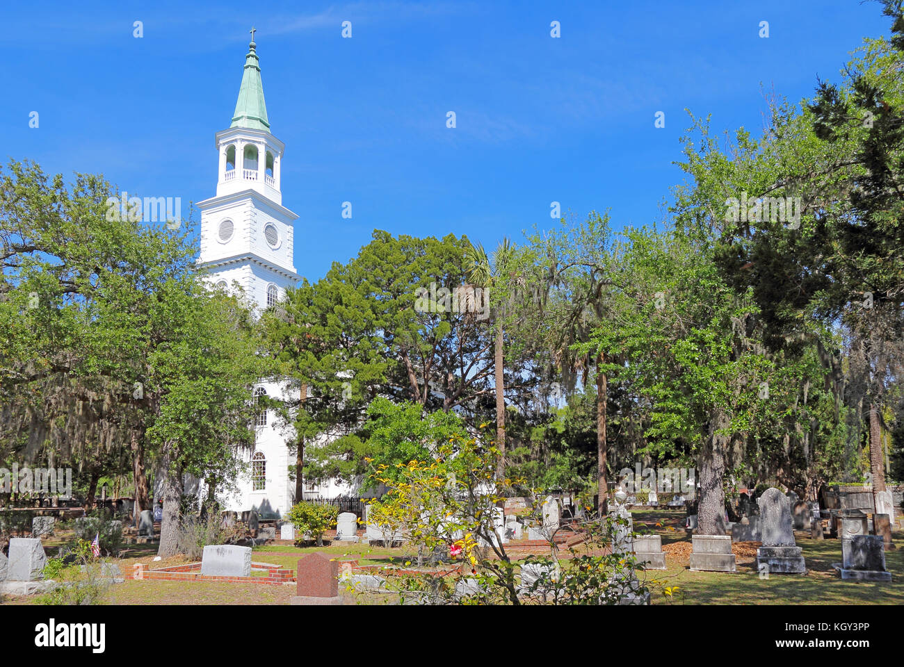 Tree trees st helena hi-res stock photography and images - Alamy
