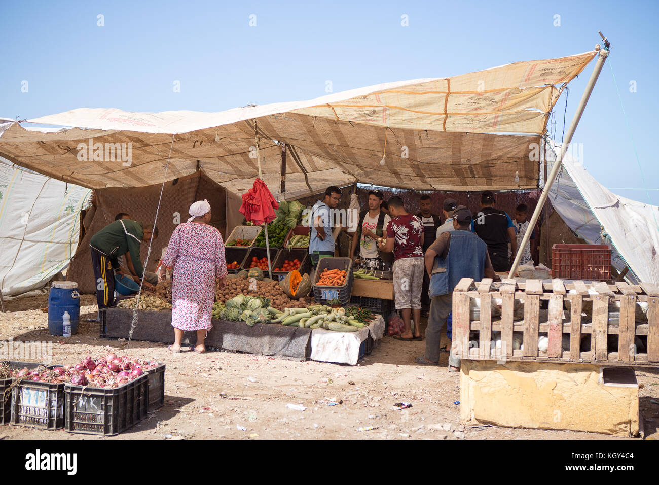 Fantasia is a traditional exhibition of horsemanship in the Maghreb performed during cultural festivals and to close Maghrebi wedding celebrations. Stock Photo