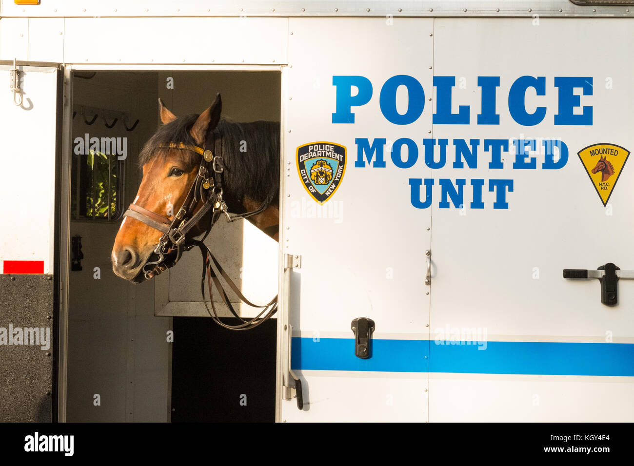 Police horsebox hi-res stock photography and images - Alamy