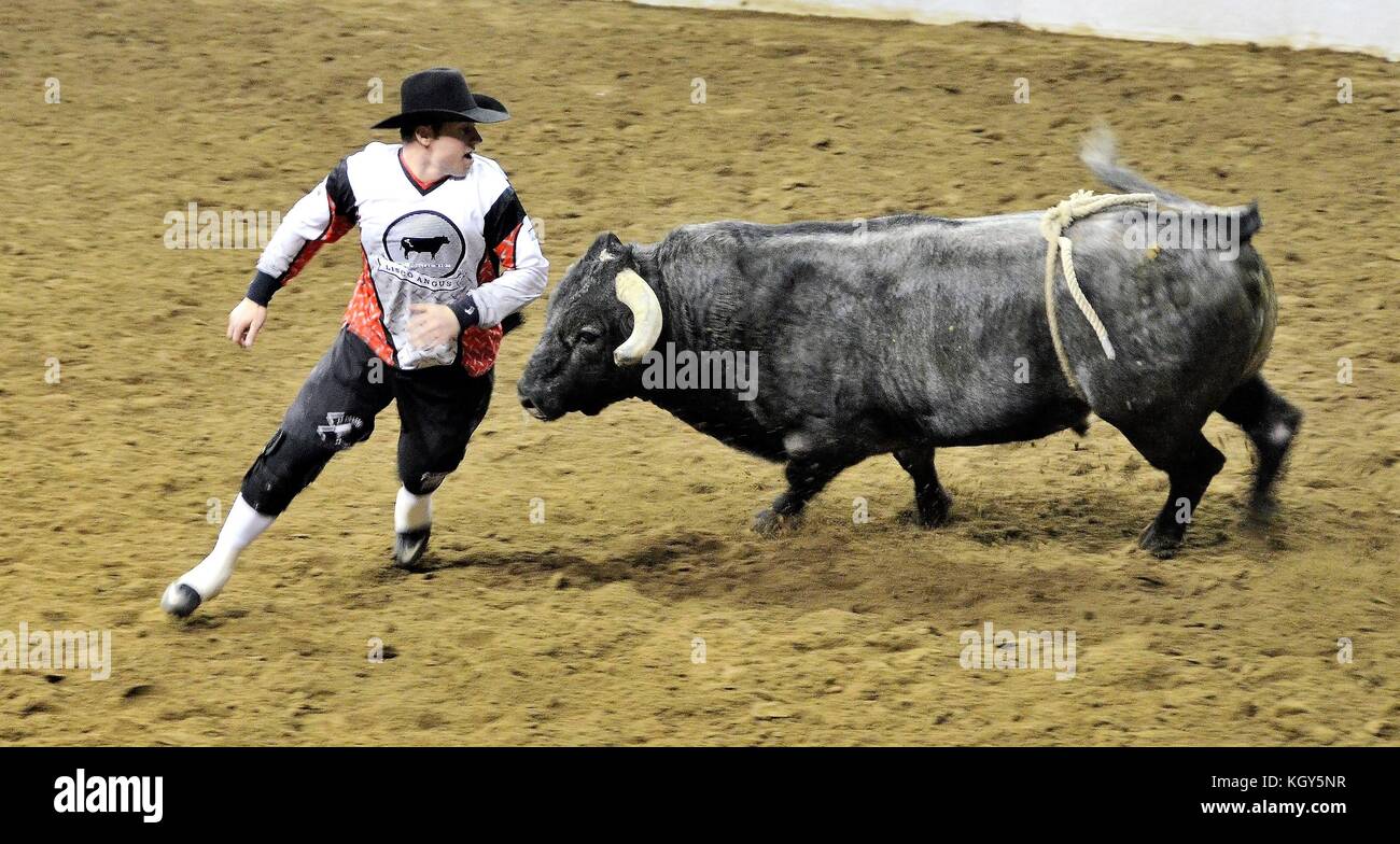 Denver Rodeo Events Stock Photo Alamy