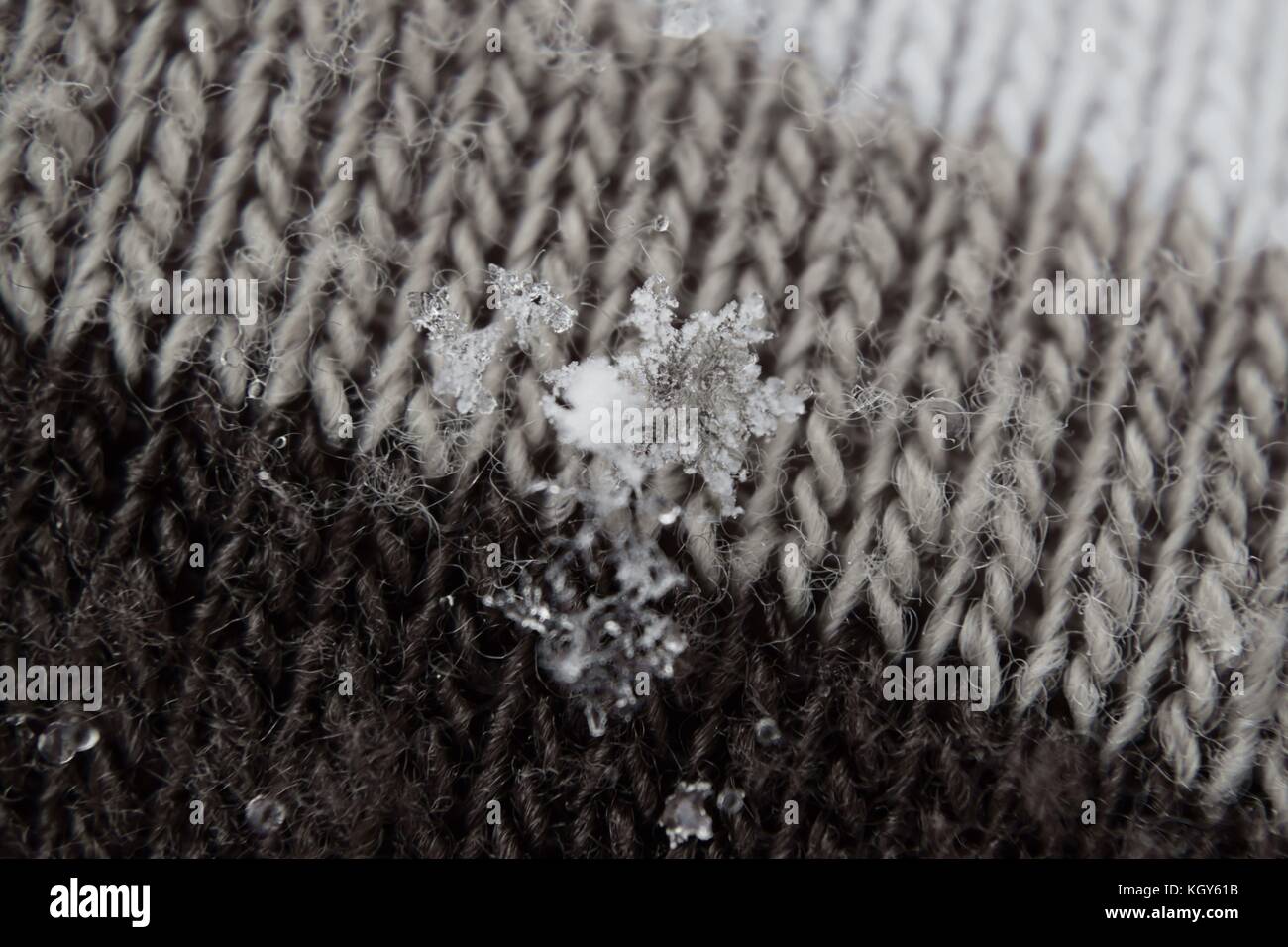 close up of snowflakes on knitted yarn glove during early snowfall Stock Photo