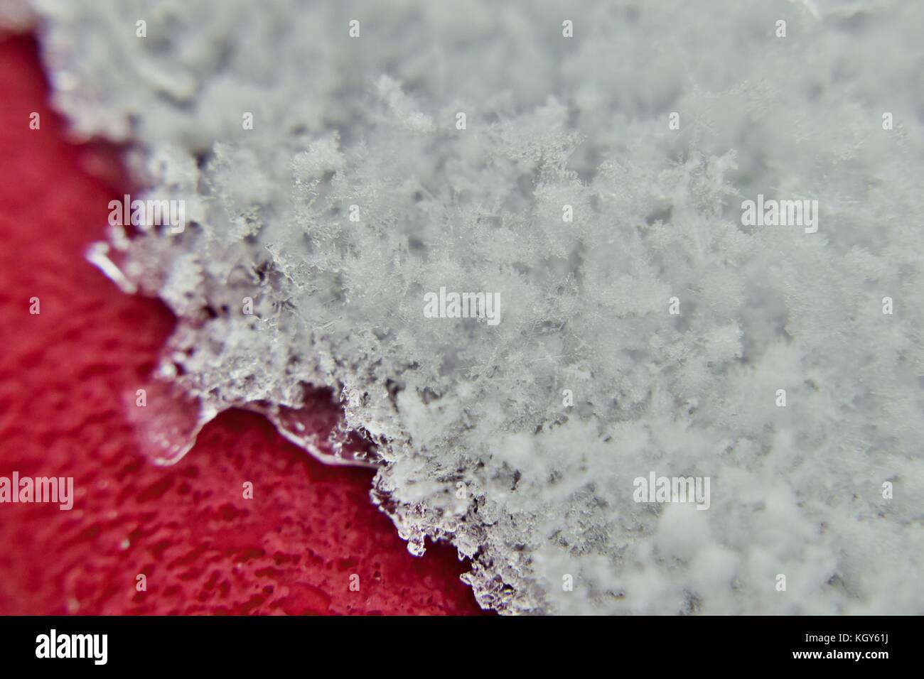 Close up of snowflakes on red surface during early snowfall Stock Photo