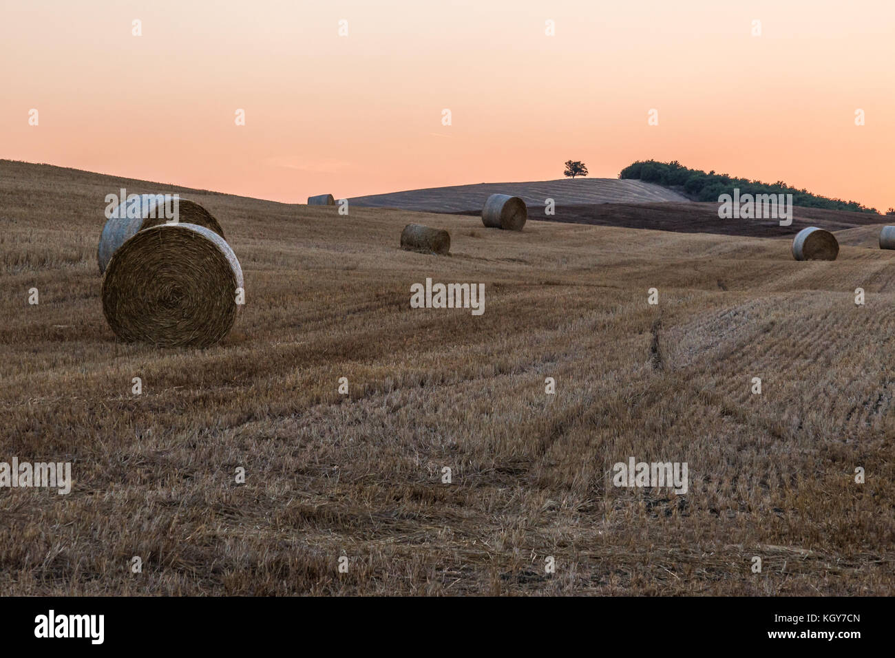 Hay bales on a hill at dusk, beneath a warm, empty sky Stock Photo - Alamy