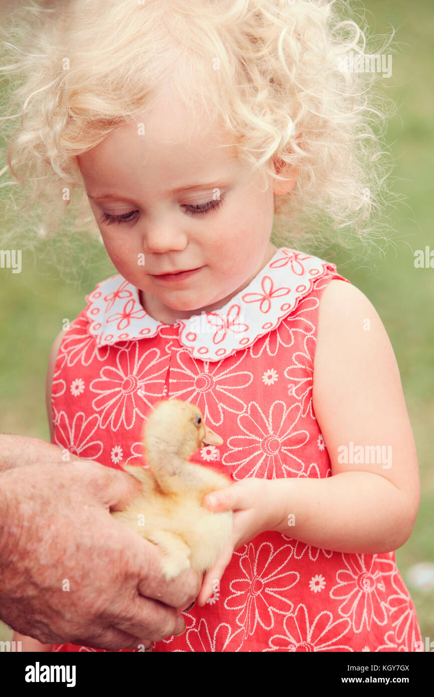 little girl holding duckling Stock Photo