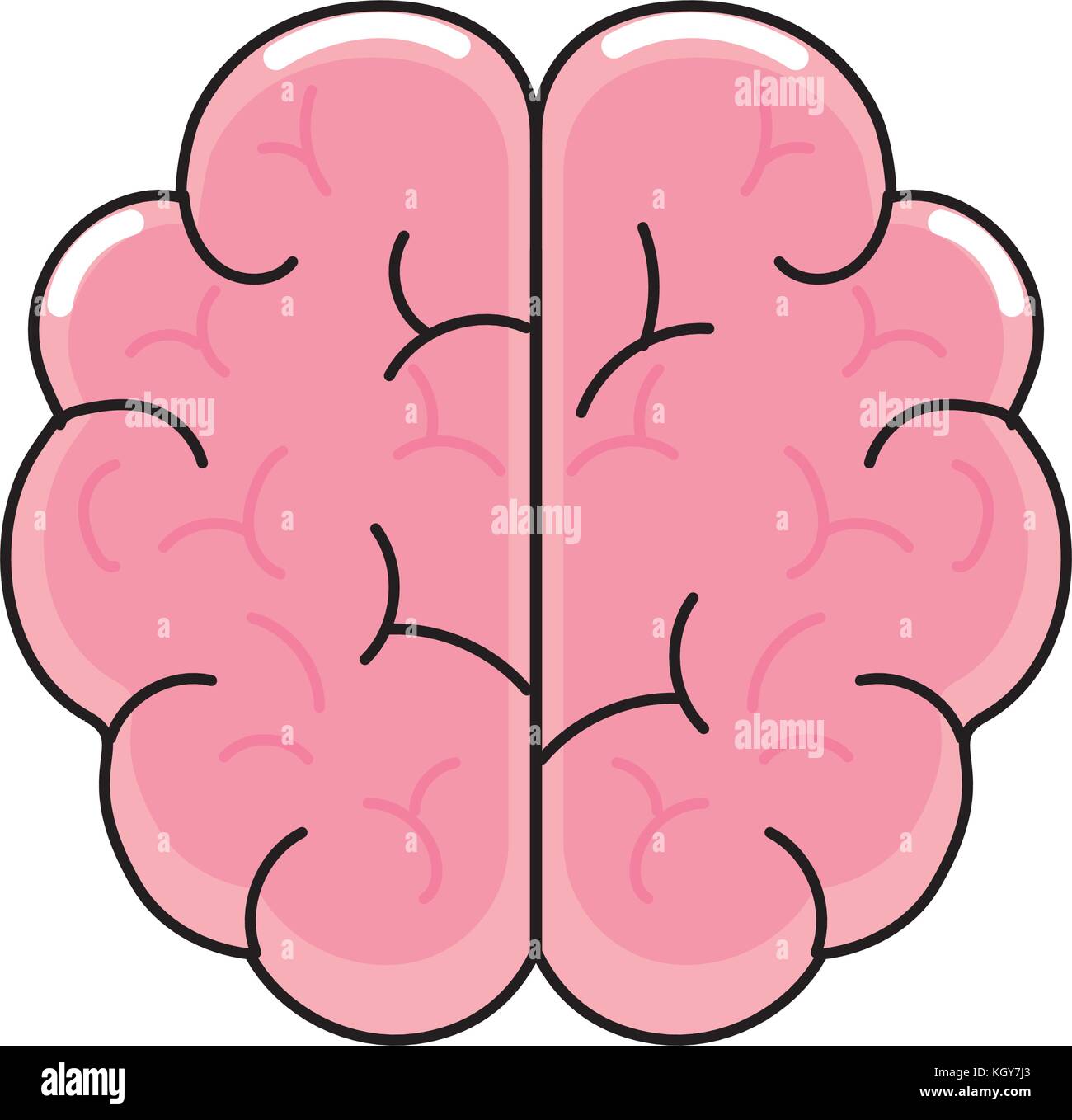 Isolated brain design Stock Vector Image & Art - Alamy