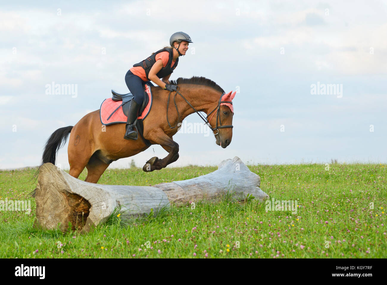 Cross country jumping for beginners Stock Photo Alamy