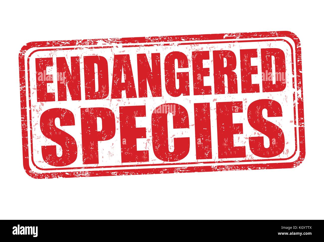 Endangered species grunge rubber stamp on white background, vector illustration Stock Vector