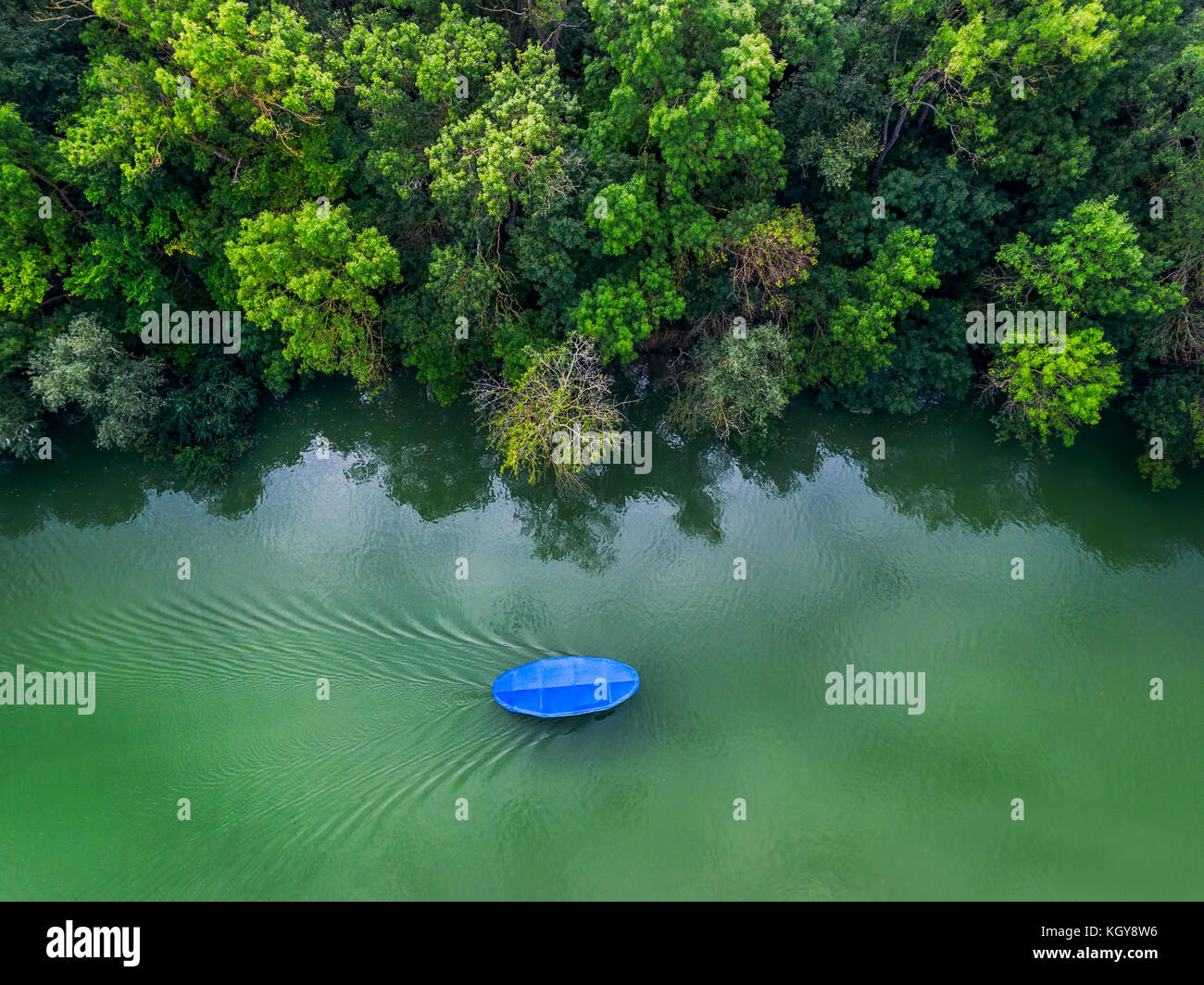 Green forest river aerial hi-res stock photography and images - Alamy