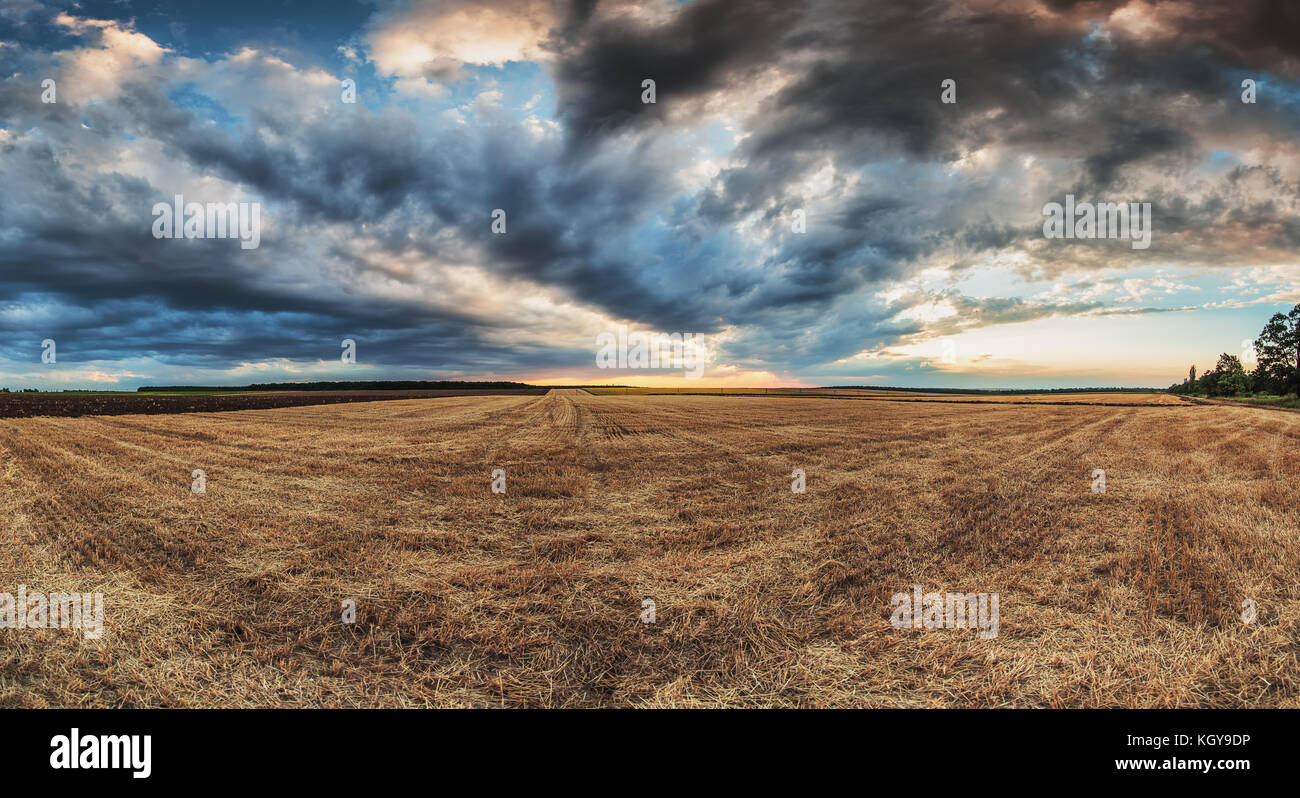 Dramatic clouds over the field after harvest, sunset shot Stock Photo ...