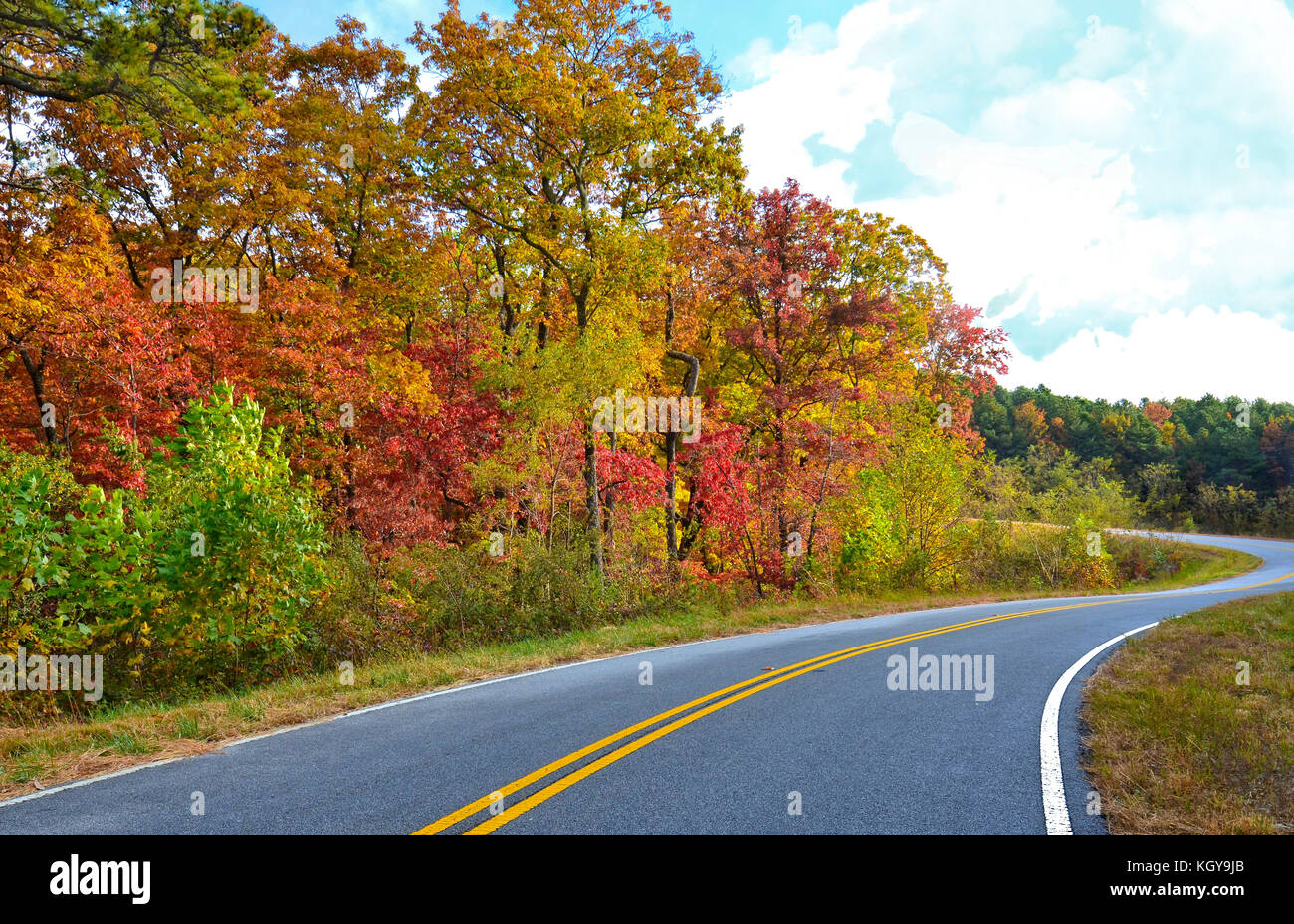 Autumn Colors on curving road Stock Photo