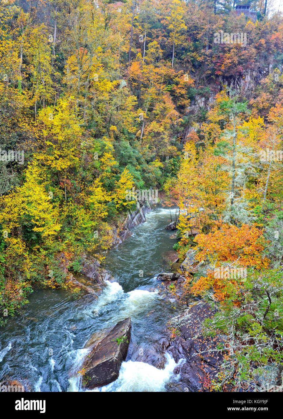 Tallulah River Gorge in the Fall Stock Photo