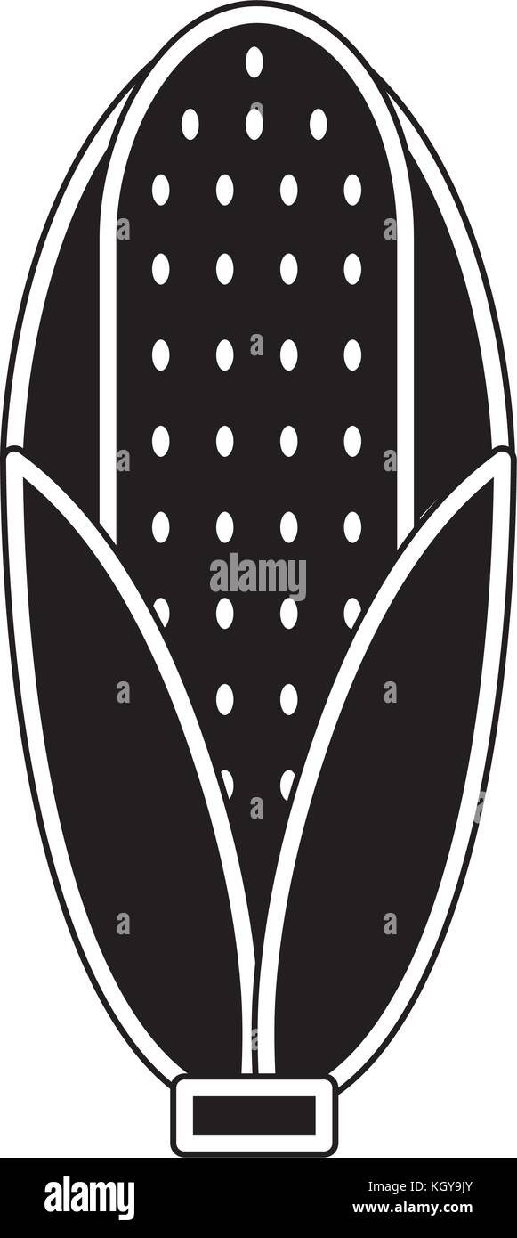 Isolated corn design Stock Vector Image & Art - Alamy