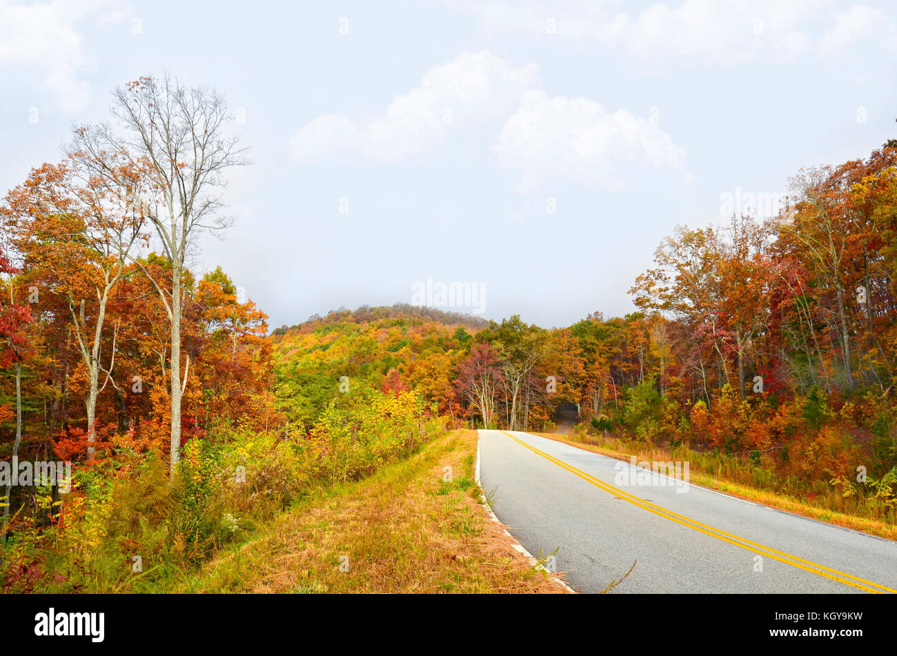 Autumn Colors on curving road Stock Photo