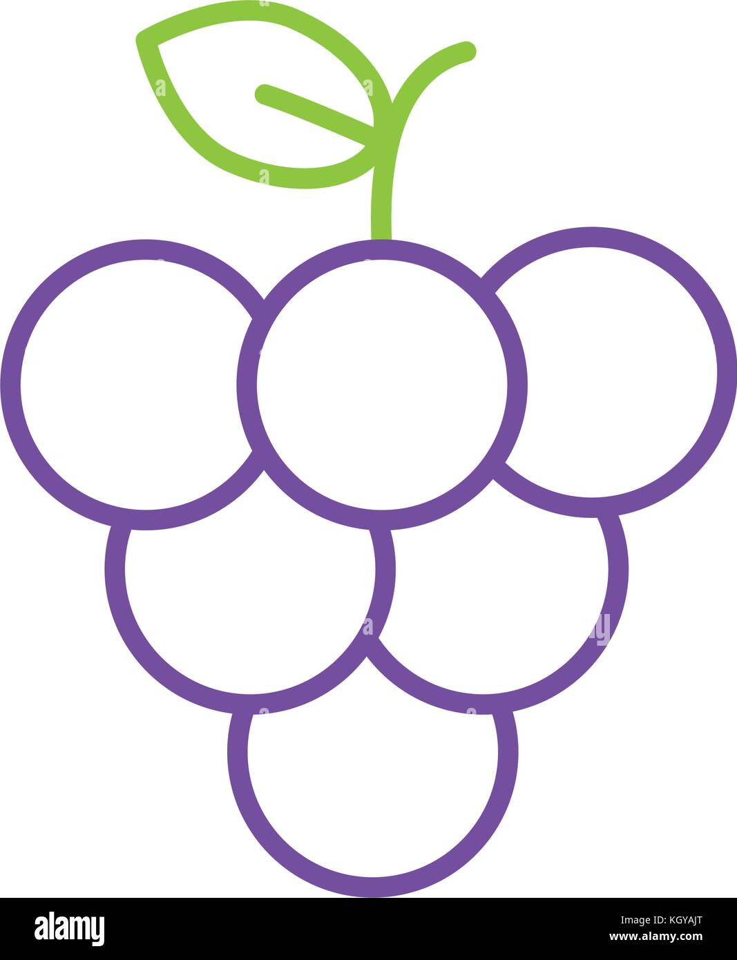 Isolated grapes design Stock Vector Image & Art - Alamy