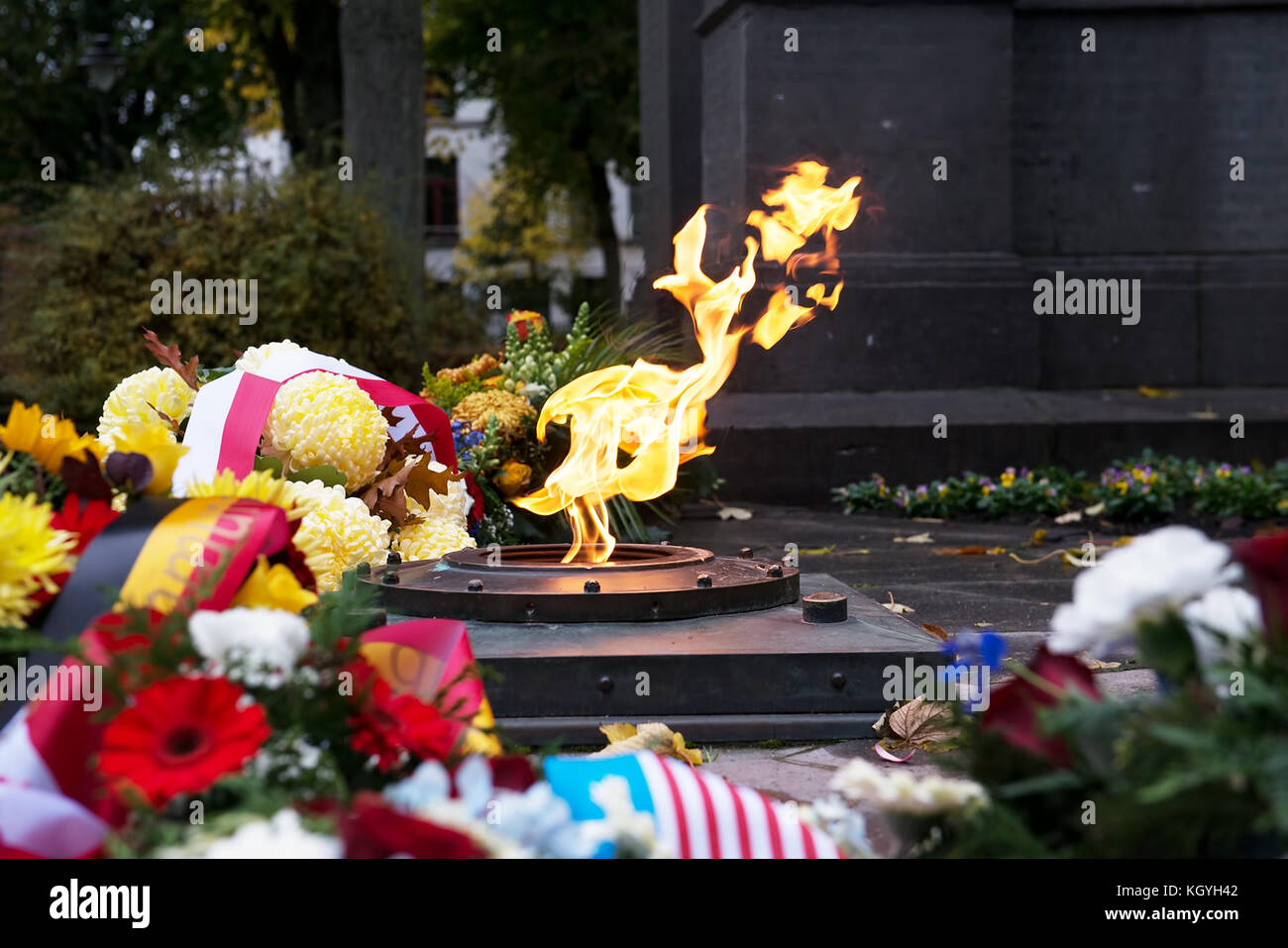 Mons, Belgium. 11th Nov, 2017. In Armistice Day flowers are placed at Memorial dedicated to Belgian victims of First World War on Place du Parc on November 11, 2017 in Mons, Belgium Credit: Skyfish/Alamy Live News Stock Photo