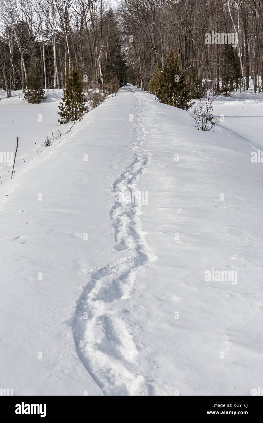 Trails of winter ice hi-res stock photography and images - Alamy
