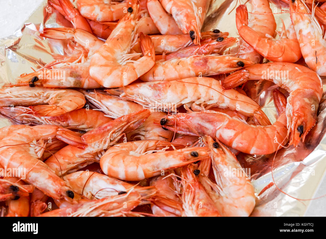 Shrimp cocktail background with a close up view of a group of fresh delicious refrigerated crustaceans as gourmet seafood for a party or dinner at a restaurant serving food from the sea Stock Photo