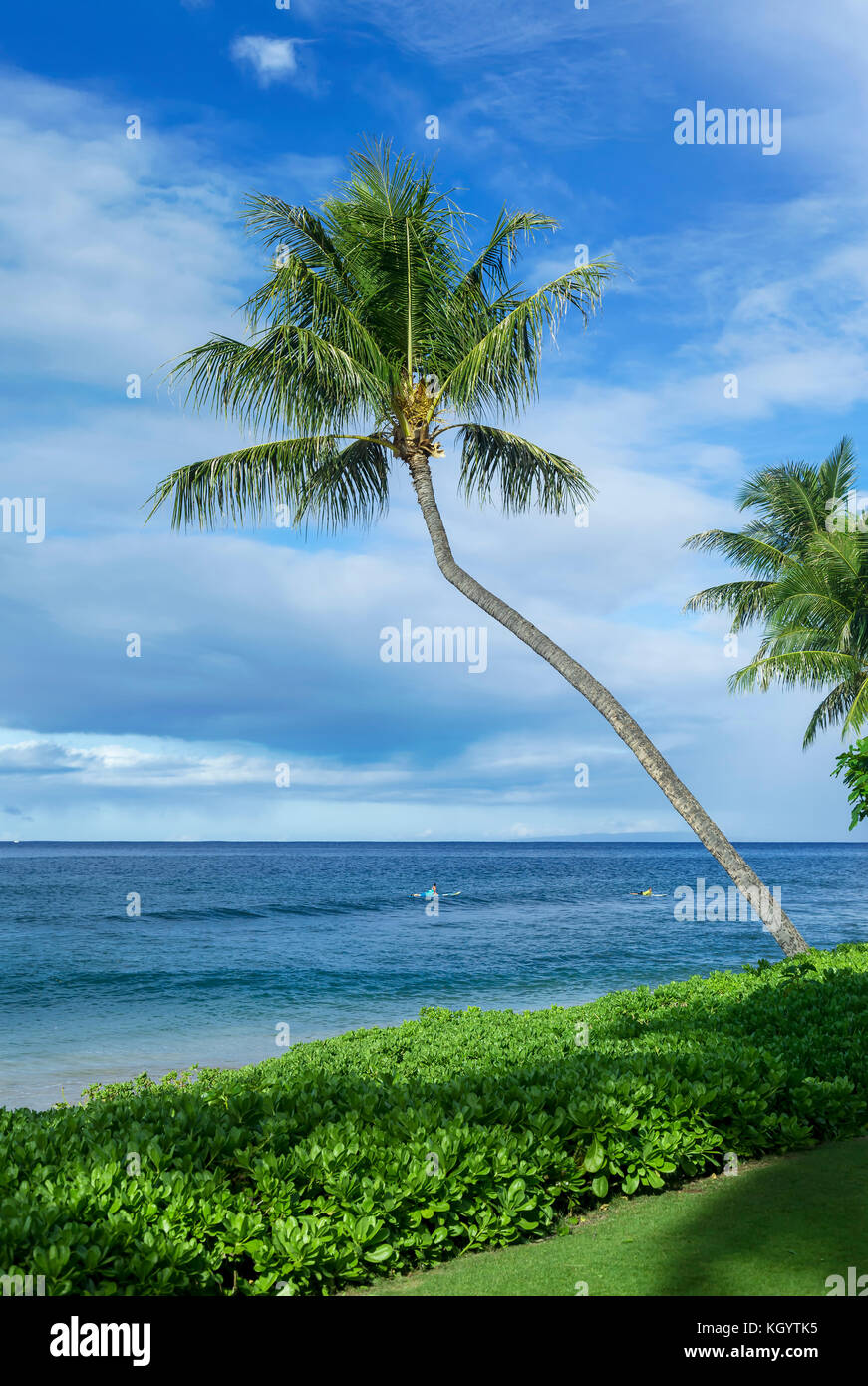 Morning photograph of Maui's famous Kaanapali beach next to lawn and
