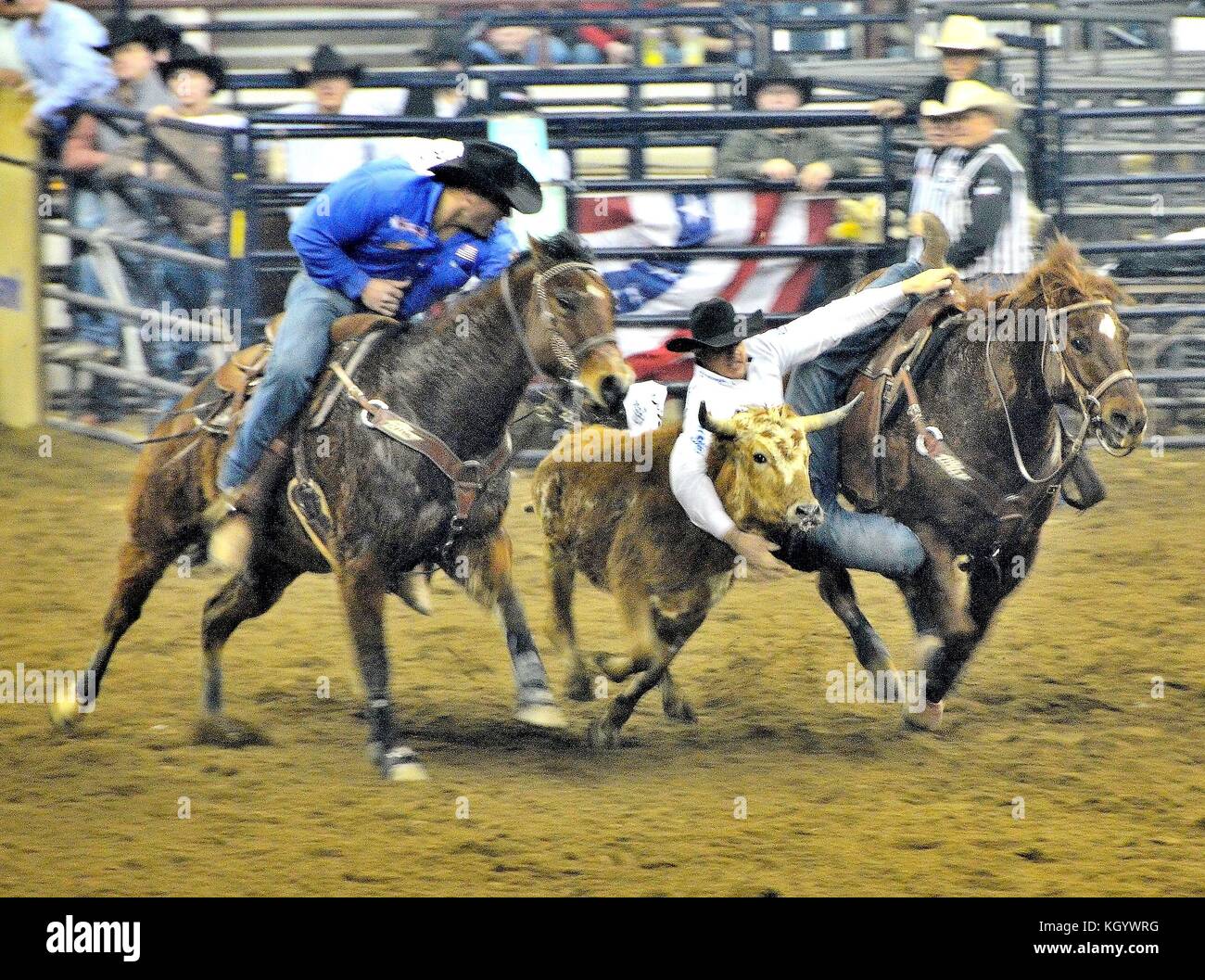 Denver Rodeo Events Stock Photo Alamy