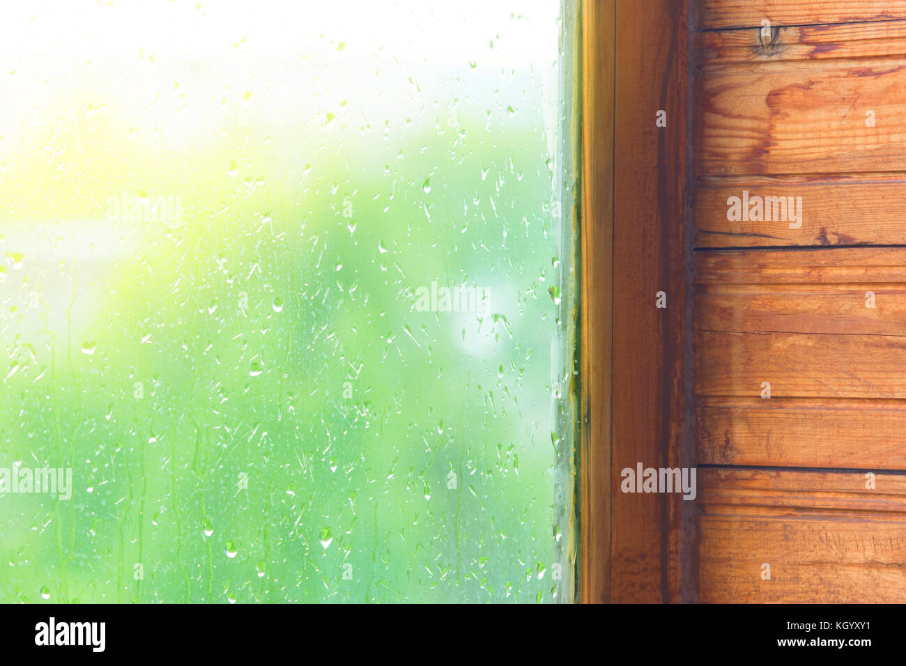 Rain drops fall through forest hi-res stock photography and images - Alamy