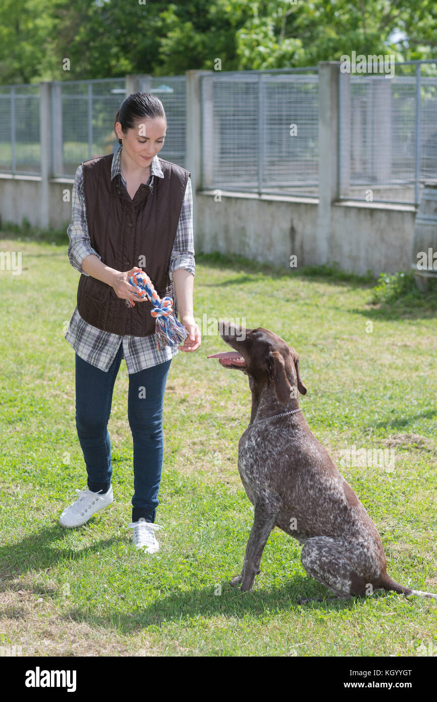 dedicated girl training dog in kennel Stock Photo Alamy