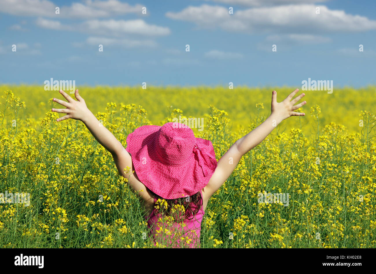 little girl with hands up on field summer season Stock Photo - Alamy