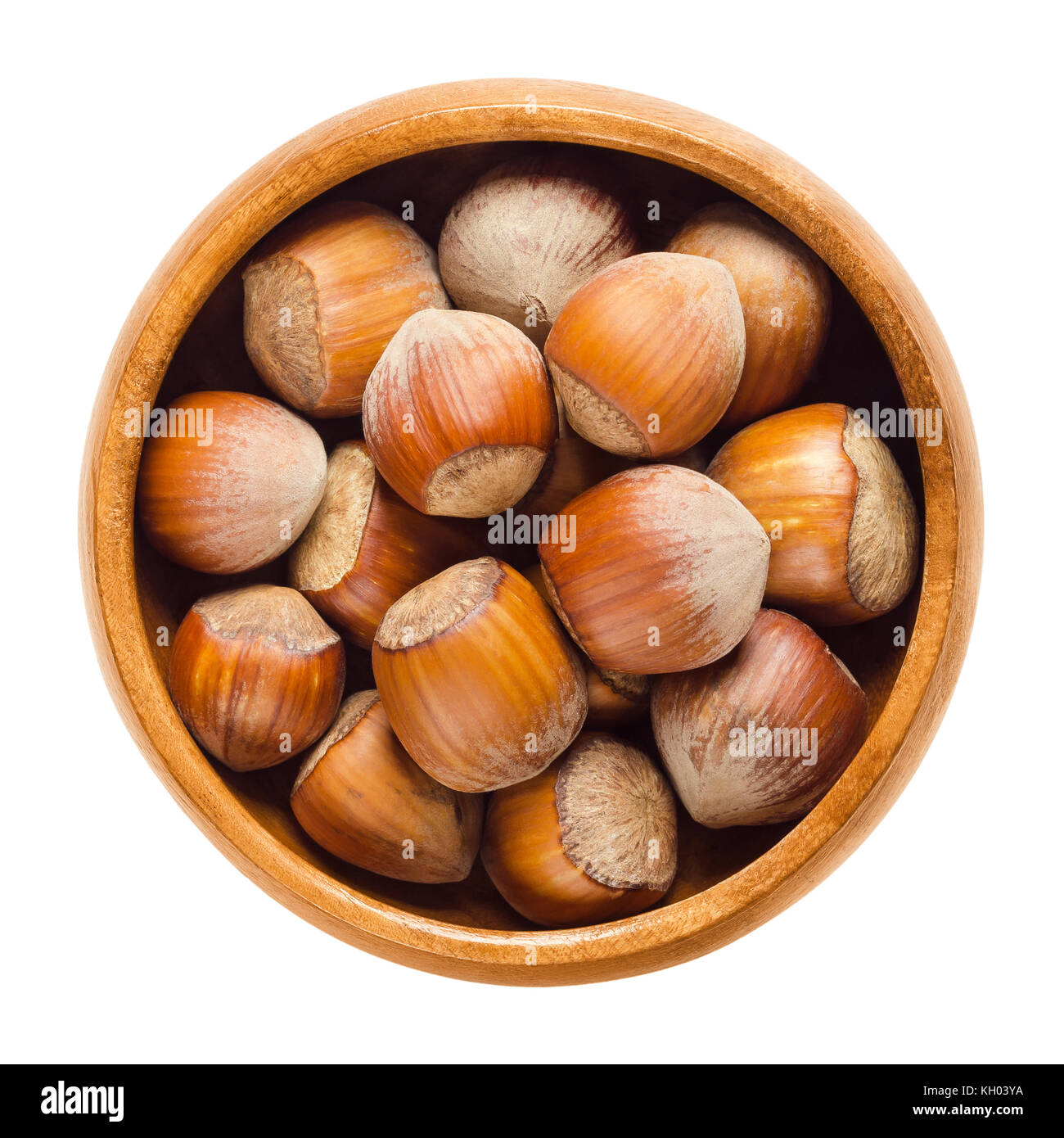 Cultivated hazelnuts in wooden bowl. Nuts of hazel, also cobnut or filbert nut. Edible, dried, brown, ripe seeds. Fruit of Corylus avellana. Stock Photo
